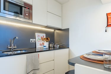 Economy Studio at Spring Mews, Tinworth Street, Vauxhall, London, SE115EL - Image 8